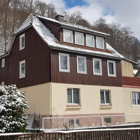 Ferienhaus Am Fluss Mit Traumhafter Dachterrasse ,Garten Und Grill Walkenried Екстер'єр фото