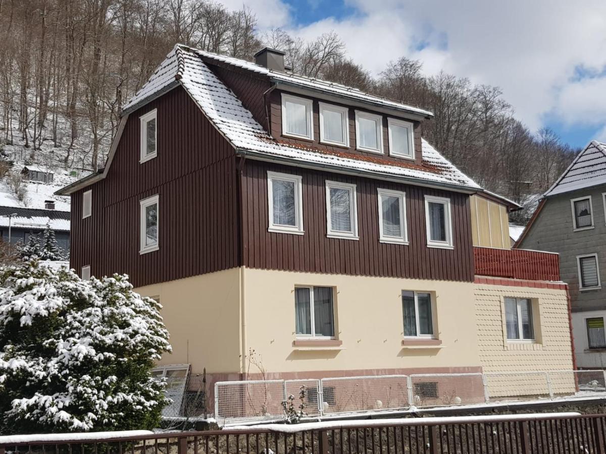 Ferienhaus Am Fluss Mit Traumhafter Dachterrasse ,Garten Und Grill Walkenried Екстер'єр фото