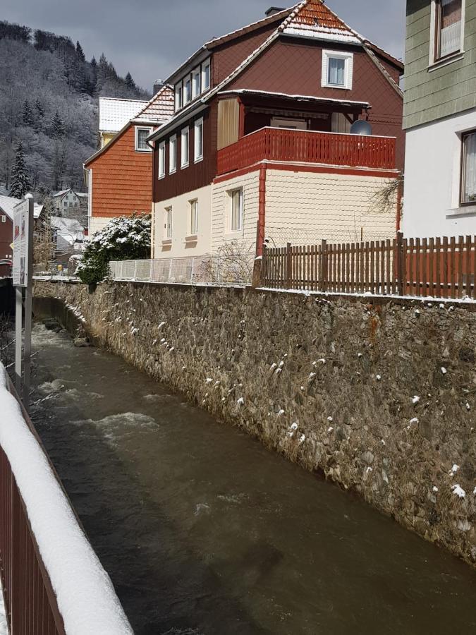 Ferienhaus Am Fluss Mit Traumhafter Dachterrasse ,Garten Und Grill Walkenried Екстер'єр фото