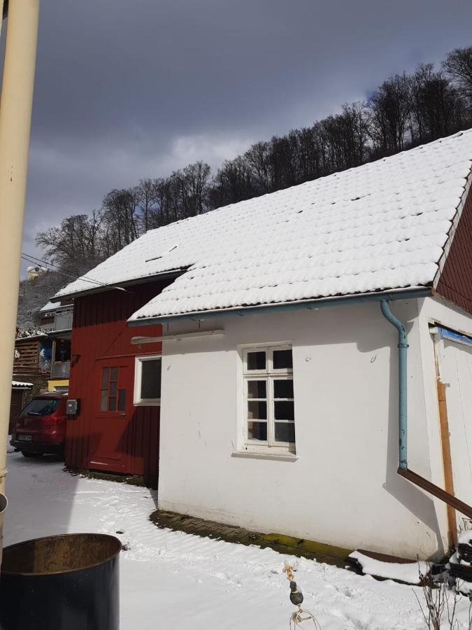 Ferienhaus Am Fluss Mit Traumhafter Dachterrasse ,Garten Und Grill Walkenried Екстер'єр фото