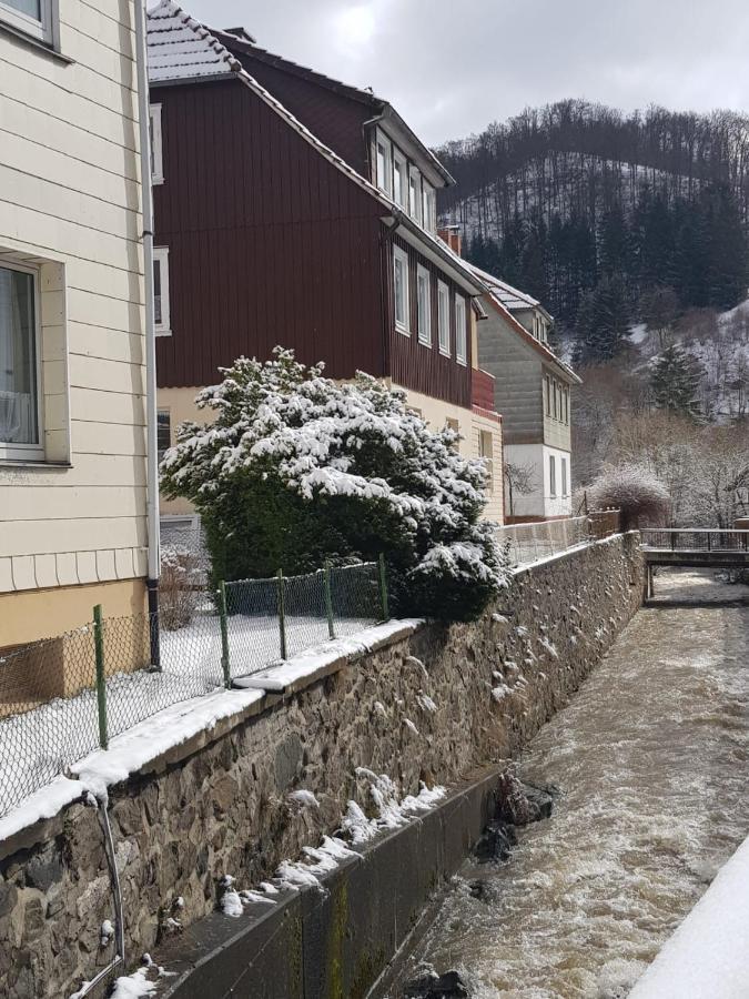 Ferienhaus Am Fluss Mit Traumhafter Dachterrasse ,Garten Und Grill Walkenried Екстер'єр фото