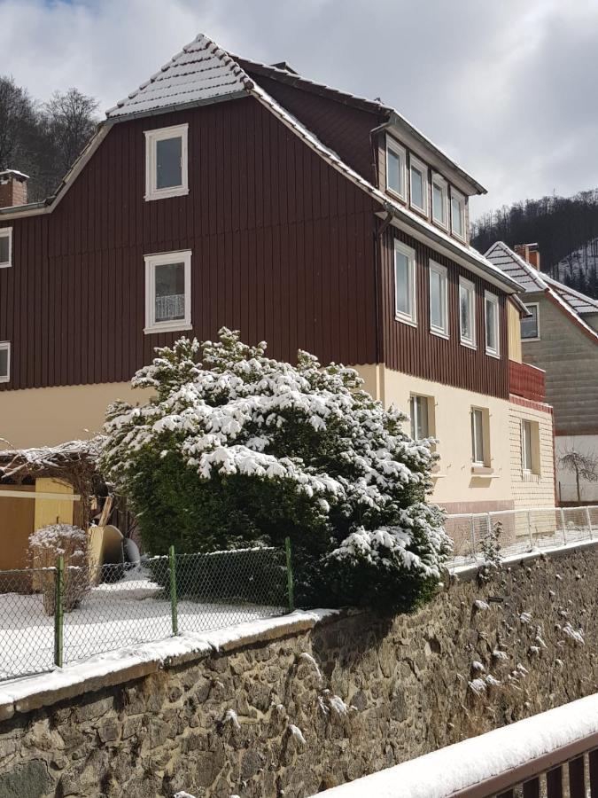 Ferienhaus Am Fluss Mit Traumhafter Dachterrasse ,Garten Und Grill Walkenried Екстер'єр фото