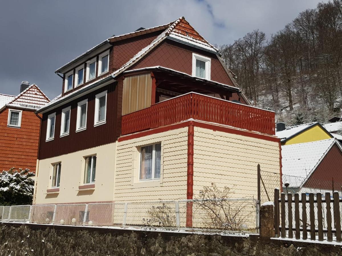 Ferienhaus Am Fluss Mit Traumhafter Dachterrasse ,Garten Und Grill Walkenried Екстер'єр фото