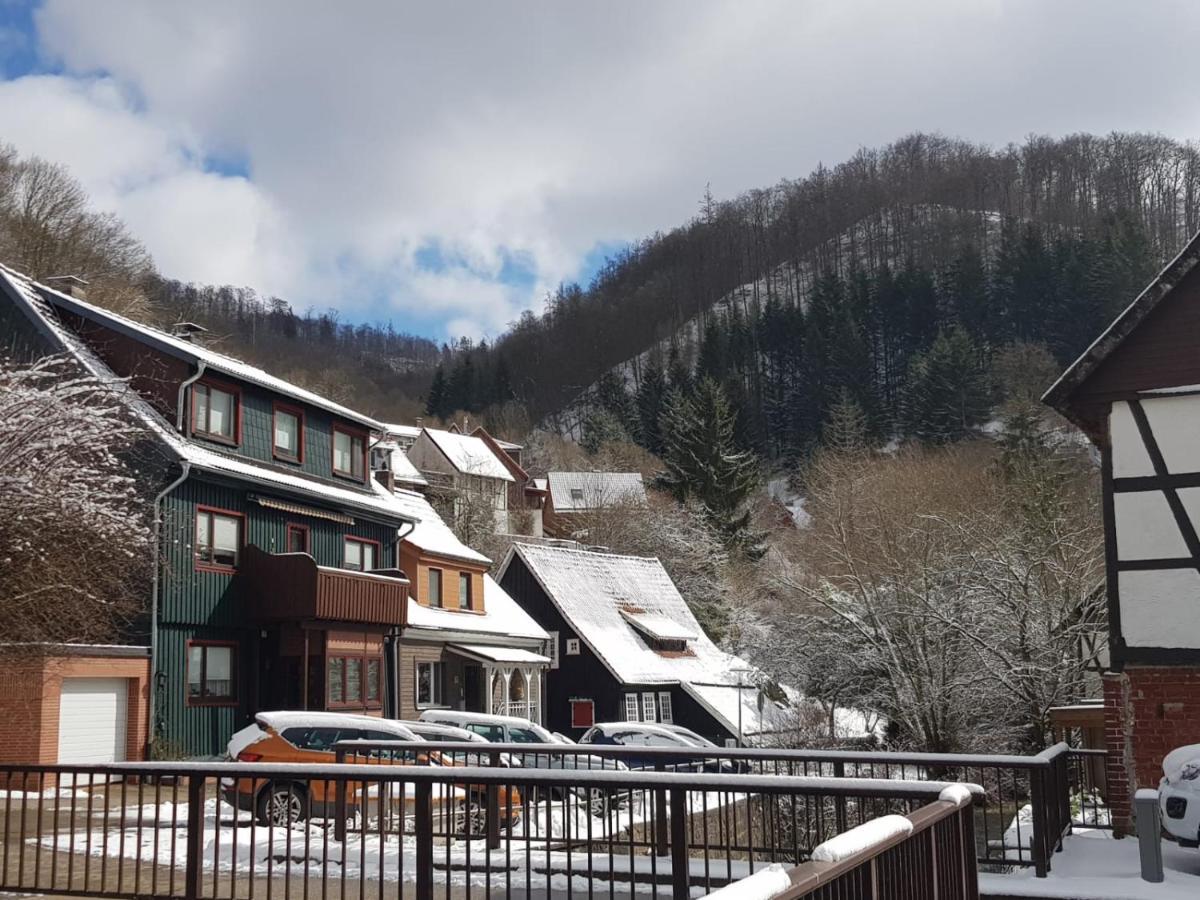 Ferienhaus Am Fluss Mit Traumhafter Dachterrasse ,Garten Und Grill Walkenried Екстер'єр фото