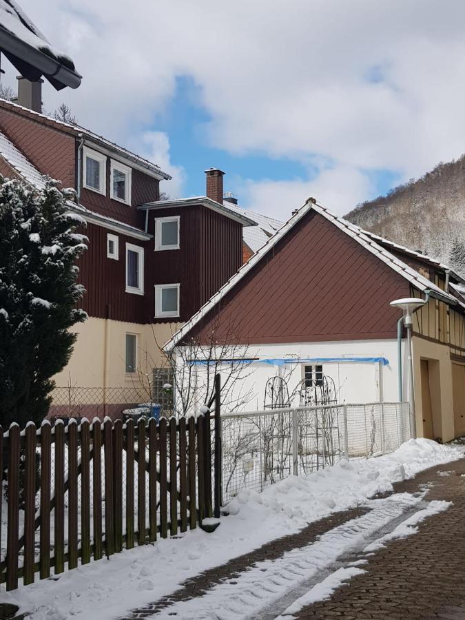 Ferienhaus Am Fluss Mit Traumhafter Dachterrasse ,Garten Und Grill Walkenried Екстер'єр фото