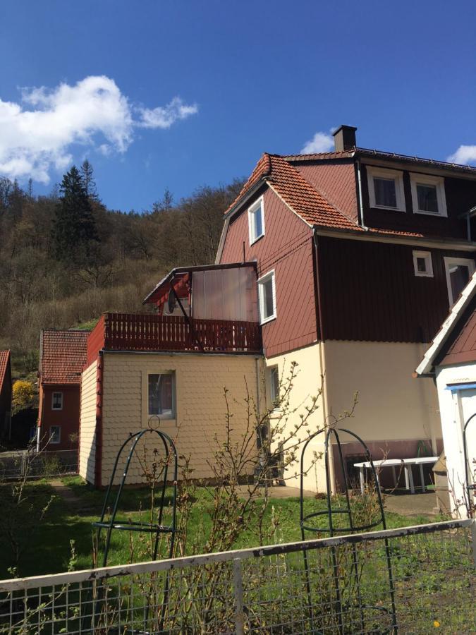 Ferienhaus Am Fluss Mit Traumhafter Dachterrasse ,Garten Und Grill Walkenried Екстер'єр фото