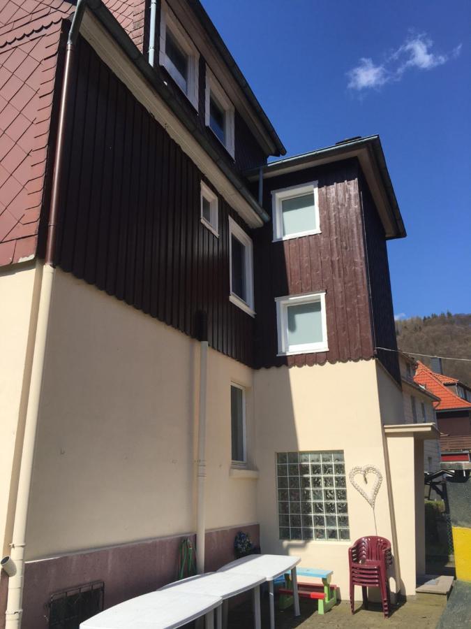 Ferienhaus Am Fluss Mit Traumhafter Dachterrasse ,Garten Und Grill Walkenried Екстер'єр фото