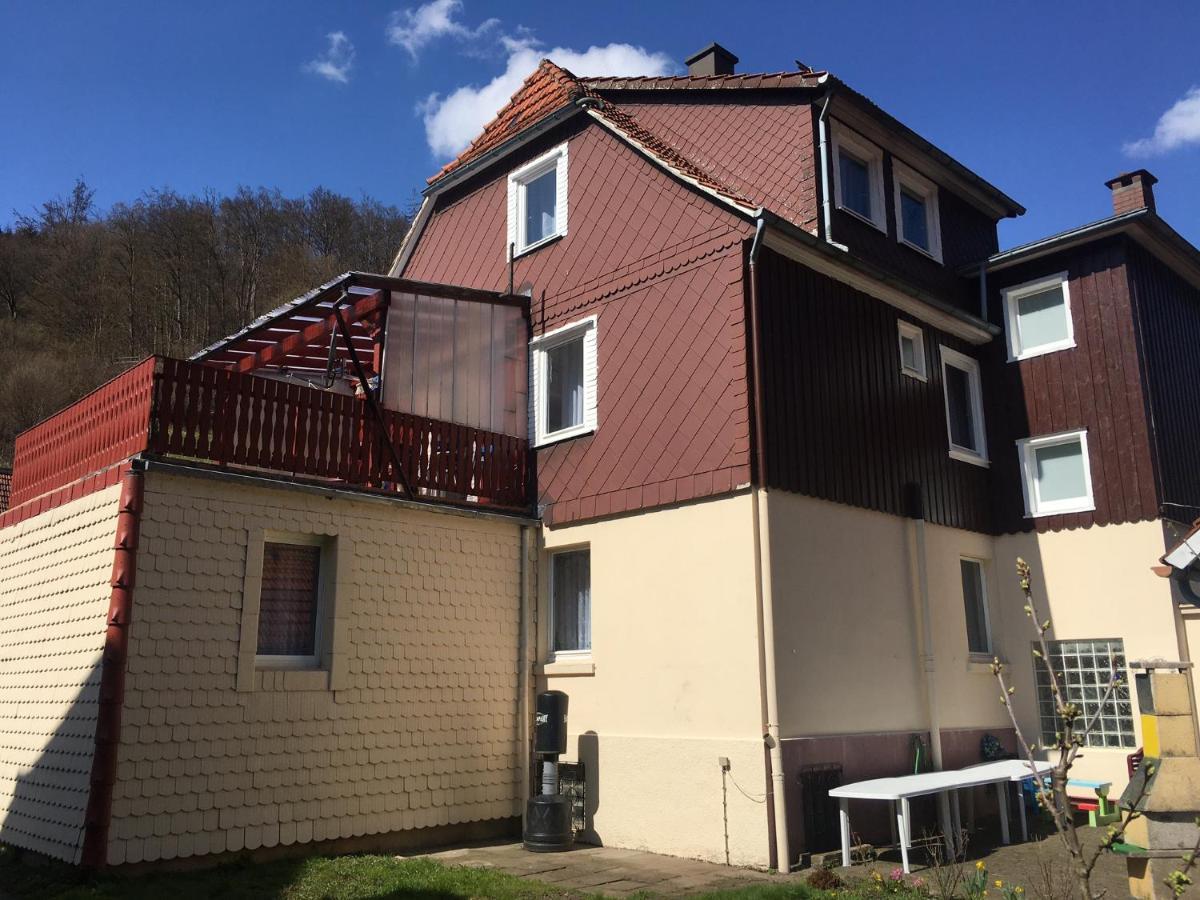 Ferienhaus Am Fluss Mit Traumhafter Dachterrasse ,Garten Und Grill Walkenried Екстер'єр фото