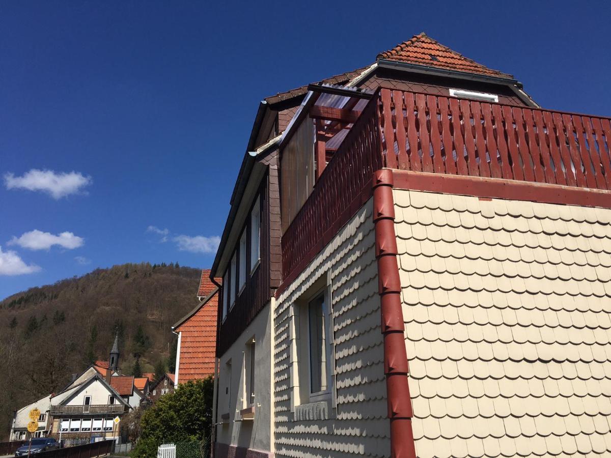 Ferienhaus Am Fluss Mit Traumhafter Dachterrasse ,Garten Und Grill Walkenried Екстер'єр фото